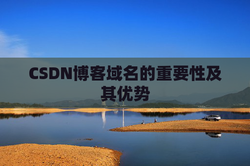 CSDN博客域名的重要性及其优势